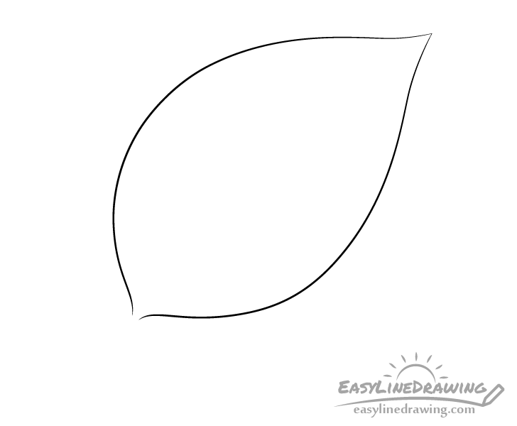 Leaf blade drawing