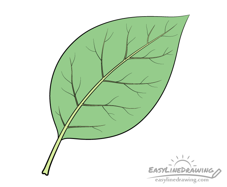 Leaf drawing