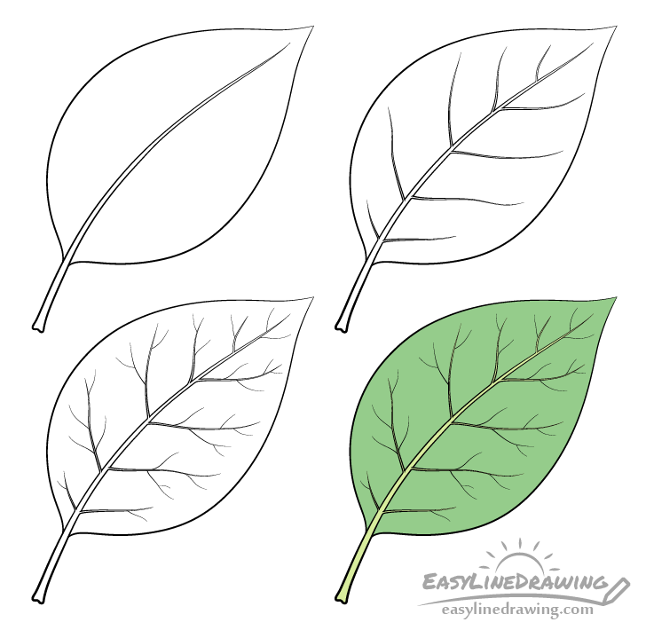 Leaf drawing step by step