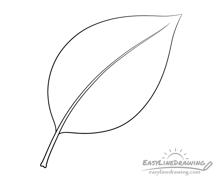 Leaf outline drawing