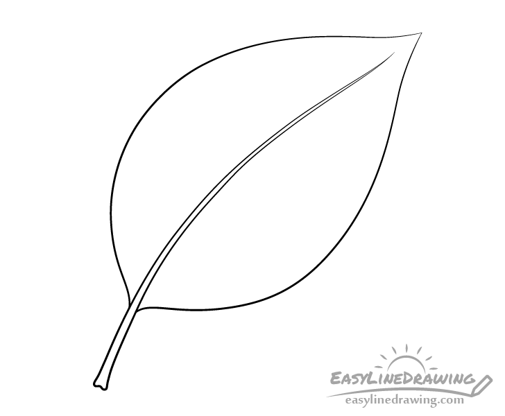 How to Draw a Leaf Step by Step  Envato Tuts