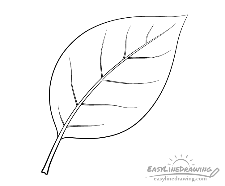 Leaf veins drawing