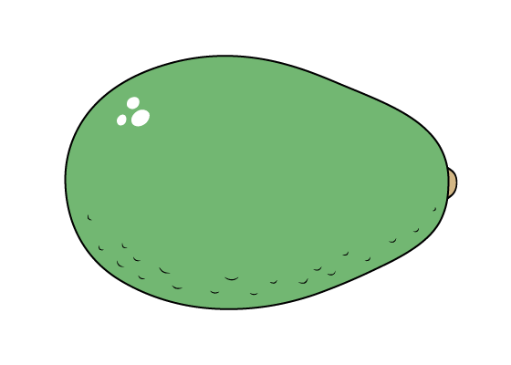 Avocado drawing tutorial