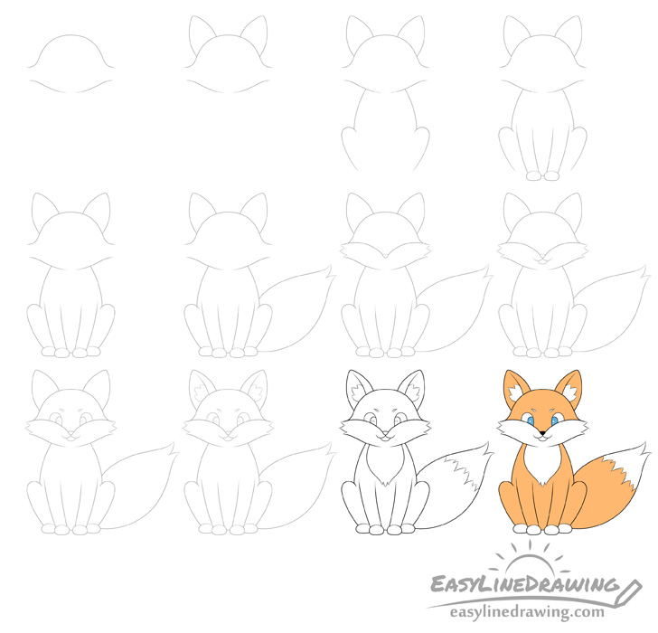 Fox drawing step by step