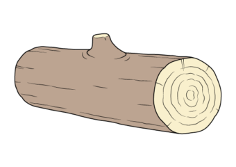 How to Draw a Log Step by Step