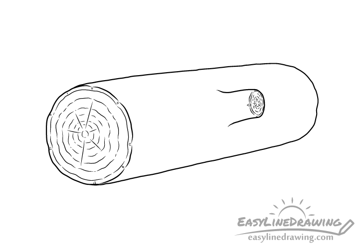 log growth rings drawing