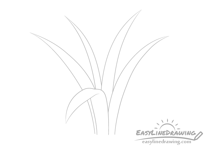 Blades of grass center drawing