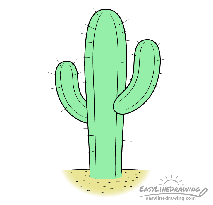 Cactus plant draw Royalty Free Vector Image - VectorStock