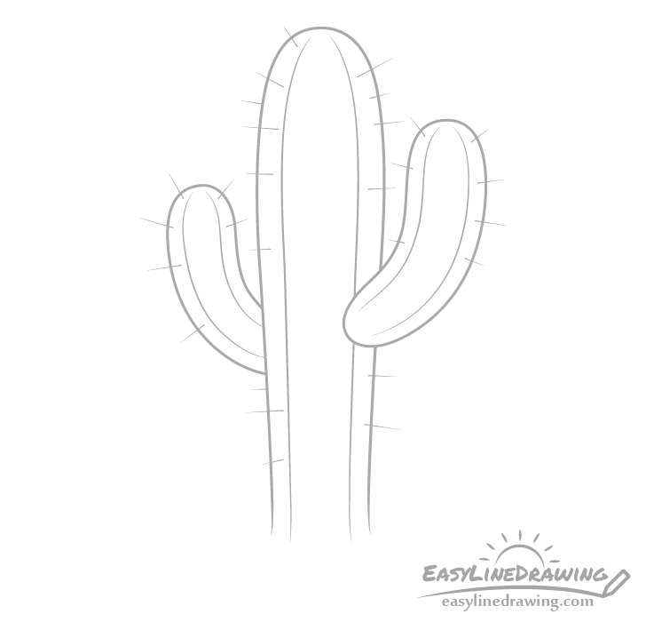 Cactus needles drawing