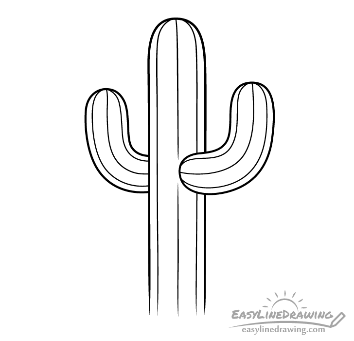 cactus ribs drawing cactus ribs drawing