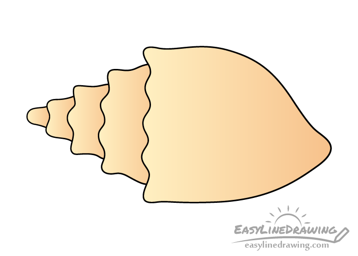 Conch shell drawing