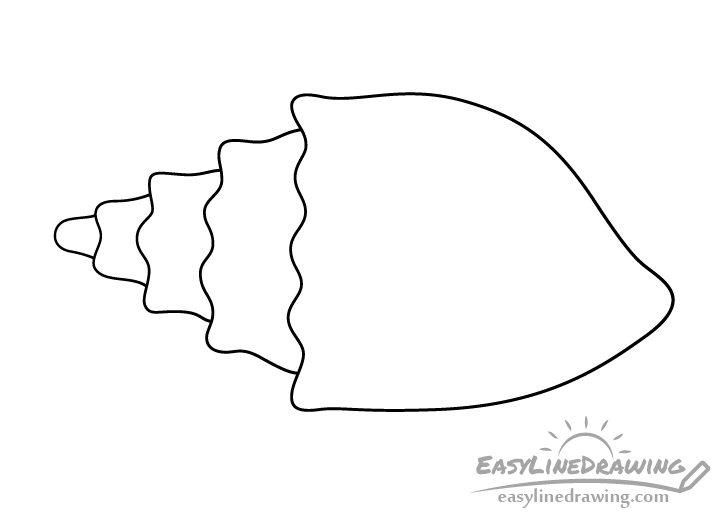 Conch shell line drawing