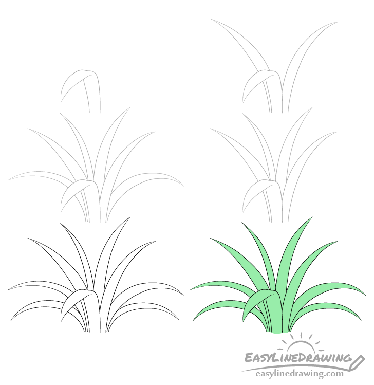 How To Draw Grass Step By Step EasyLineDrawing