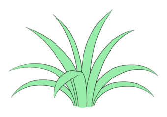Grass drawing tutorial