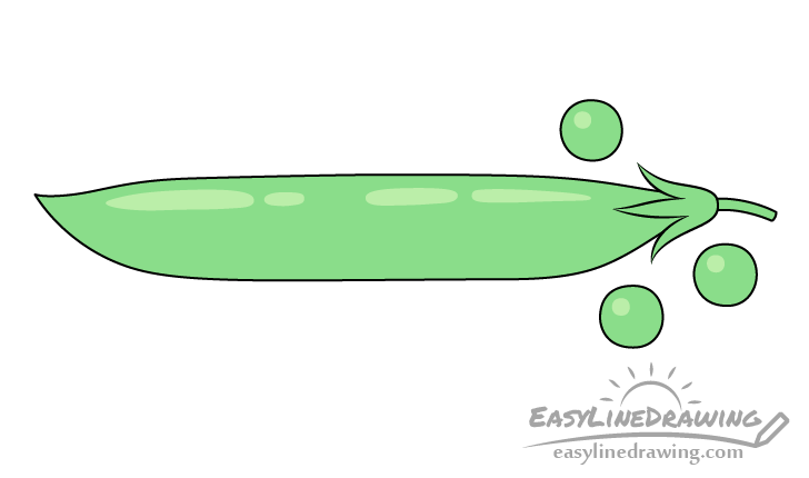 Green peas drawing