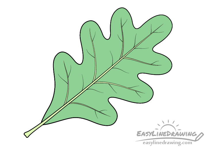 Crafting The Perfect Oak Leaf Drawing Techniques And Inspiration Crafting The Perfect Oak Leaf Drawing Techniques And Inspiration