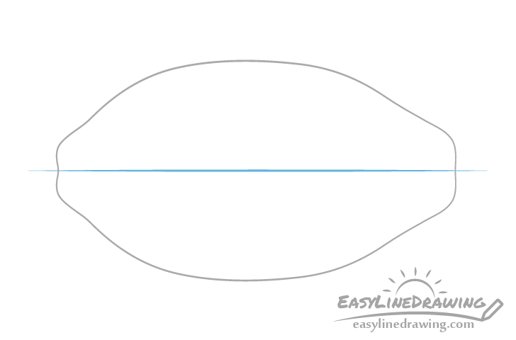 Papaya centerline drawing