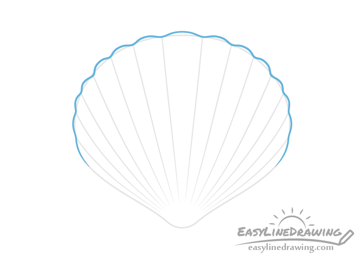 Scallop shell curves drawing