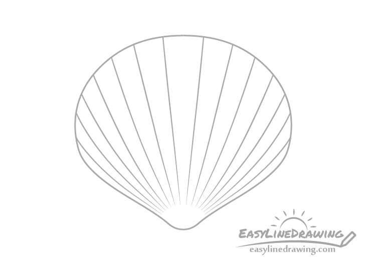 Scallop shell lines drawing