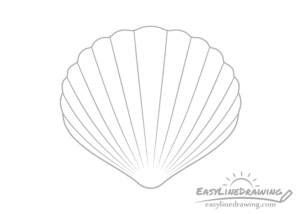 Shell Drawing Curves How to Draw Shells Step by Step - EasyLineDrawing
