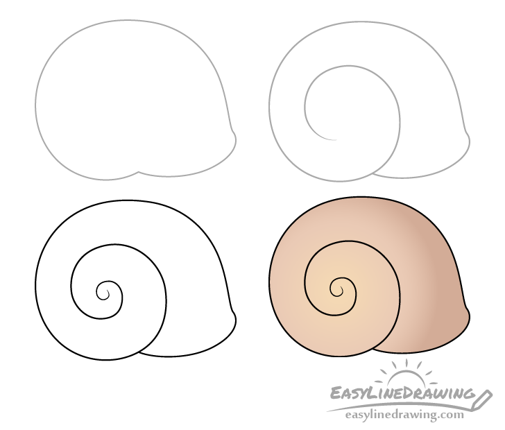 Snail shell drawing step by step