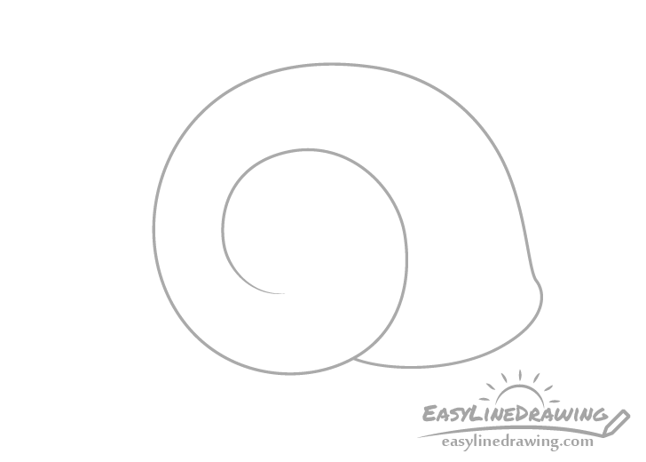 Snail shell spiral drawing