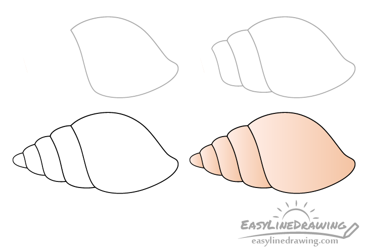 Tulip shell drawing step by step