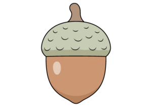 acorn drawing tutorial