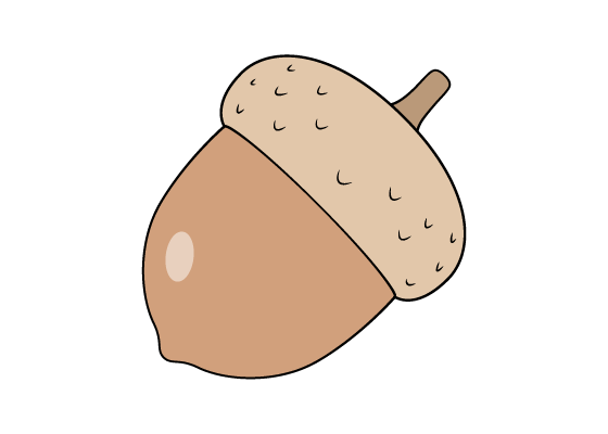 Acorn drawing tutorial