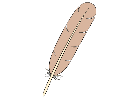 Feather drawing tutorial