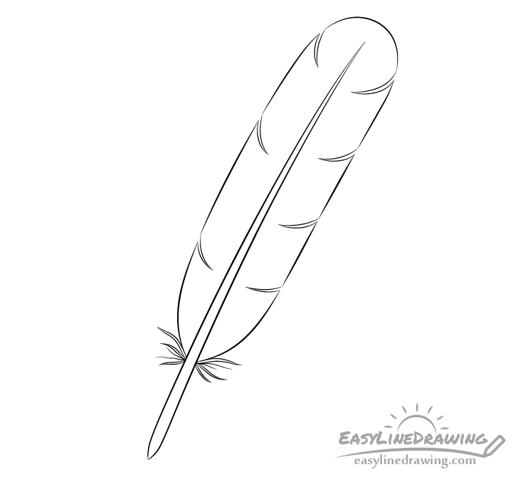 Feather line drawing