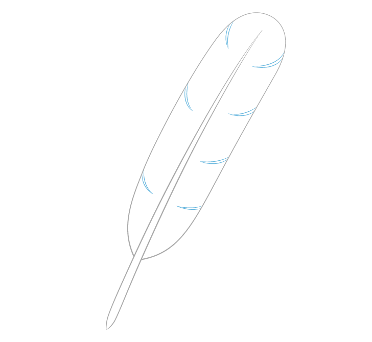Feather splits in outline drawing