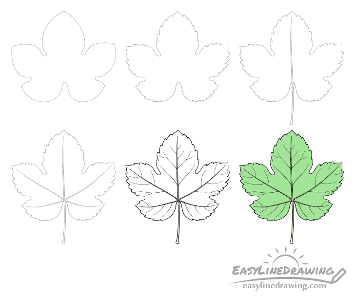 Grape leaf drawing step by step