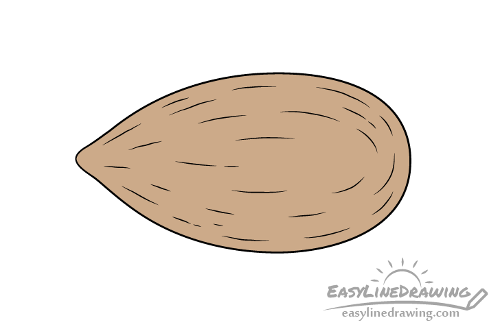 Almond drawing