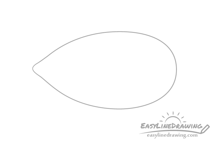 Almond outline drawing