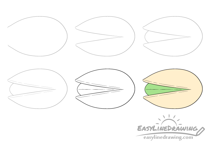 Pistachio shell drawing step by step