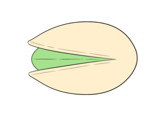 How to Draw a Pistachio Step by Step