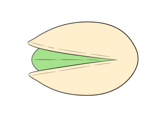 Pistachio drawing tutorial