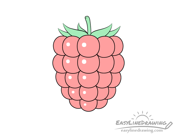Raspberry drawing