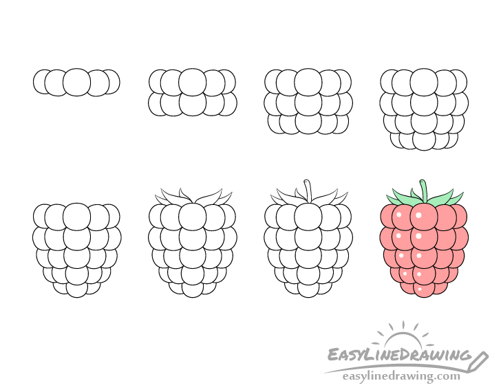 Raspberry drawing step by step