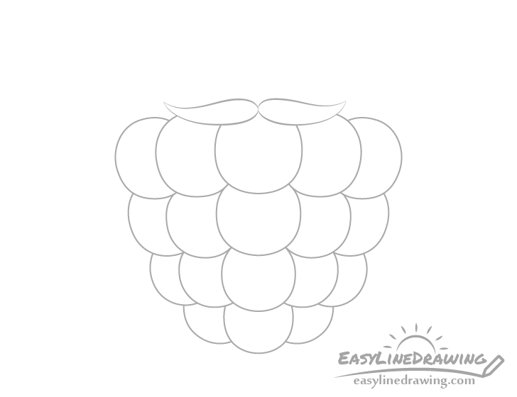 Raspberry front sepals drawing