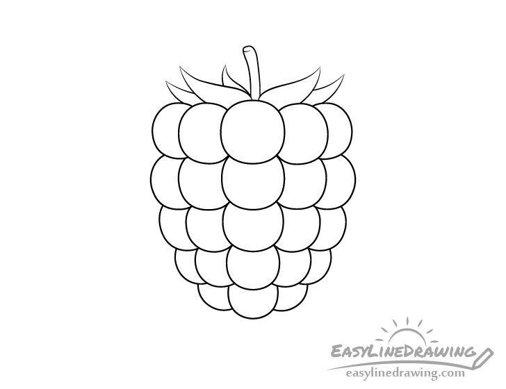 Raspberry line drawing