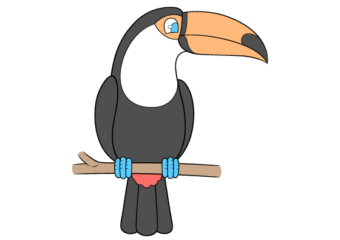 Toucan drawing tutorial