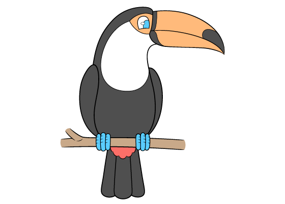 Toucan drawing tutorial