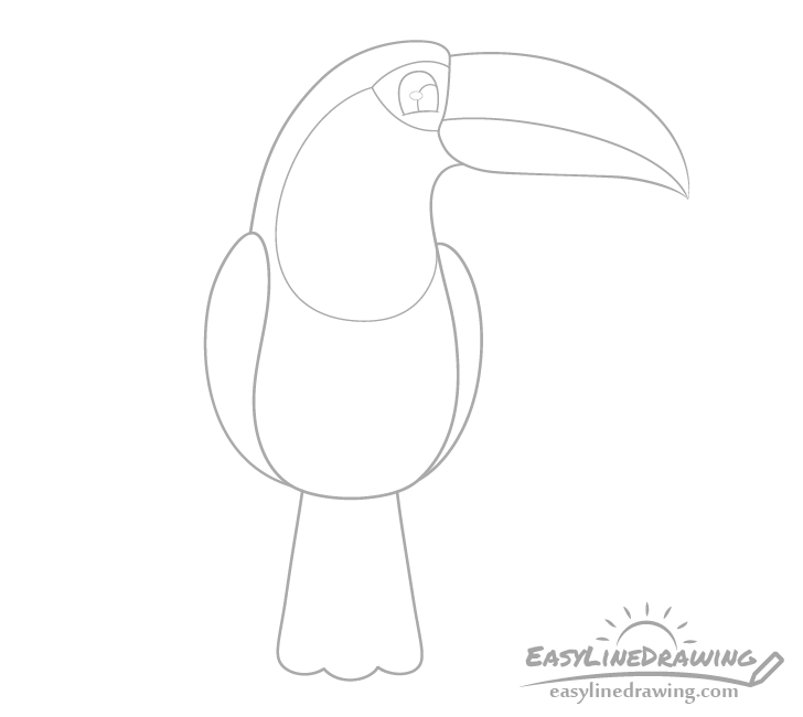 Toucan eye drawing