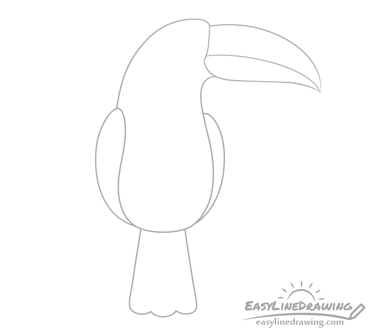 Toucan tail drawing