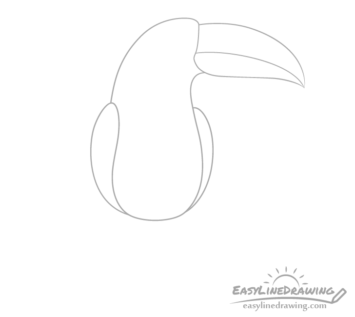 Toucan wings drawing