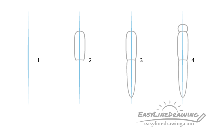 Butterfly body drawing step by step