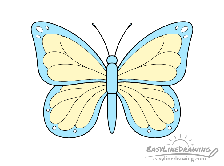 Butterfly drawing