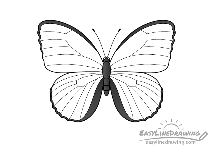 butterfly drawing coloring butterfly drawing coloring